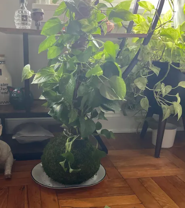 Esteban M's review photo