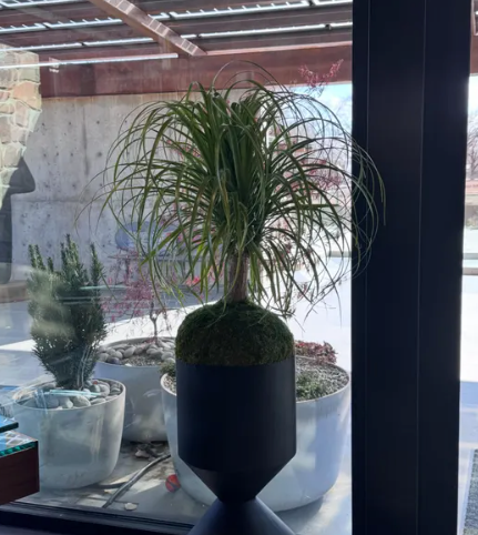 Stephen's review photo